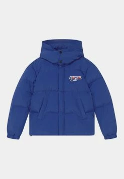 Diesel UNISEX - Winter Jacket - Surf The Web