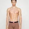 Diesel JARL - Pants - Brown