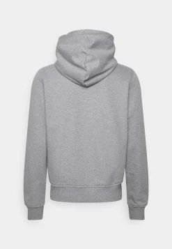 Diesel GINN HOOD - Hoodie - Grey -Diesel shop 63b82c19b47a47a29a8aee8ca79f5219