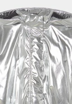 Diesel JOVET - Winter Jacket - Silver -Diesel shop baceef57b4c14d3095f411cccf934674